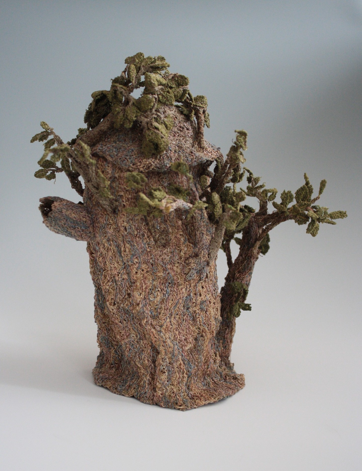 Elm Tree Teapot Elm Tree Teapot