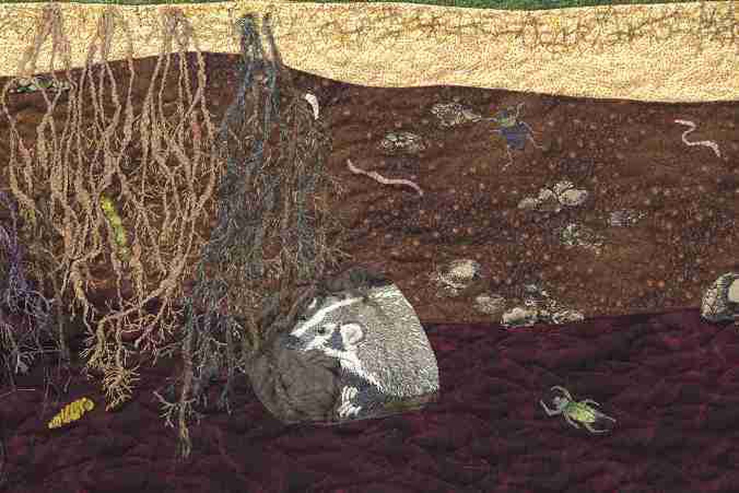 Prairie Roots - below ground detail Prairie Roots - below ground detail