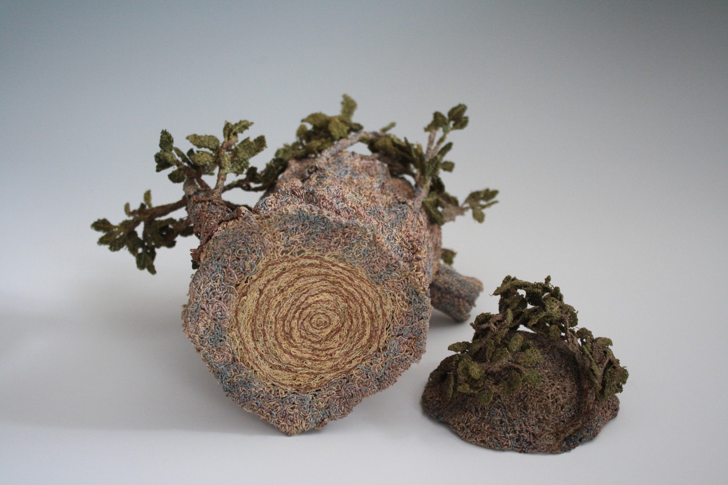 Elm base Elm base